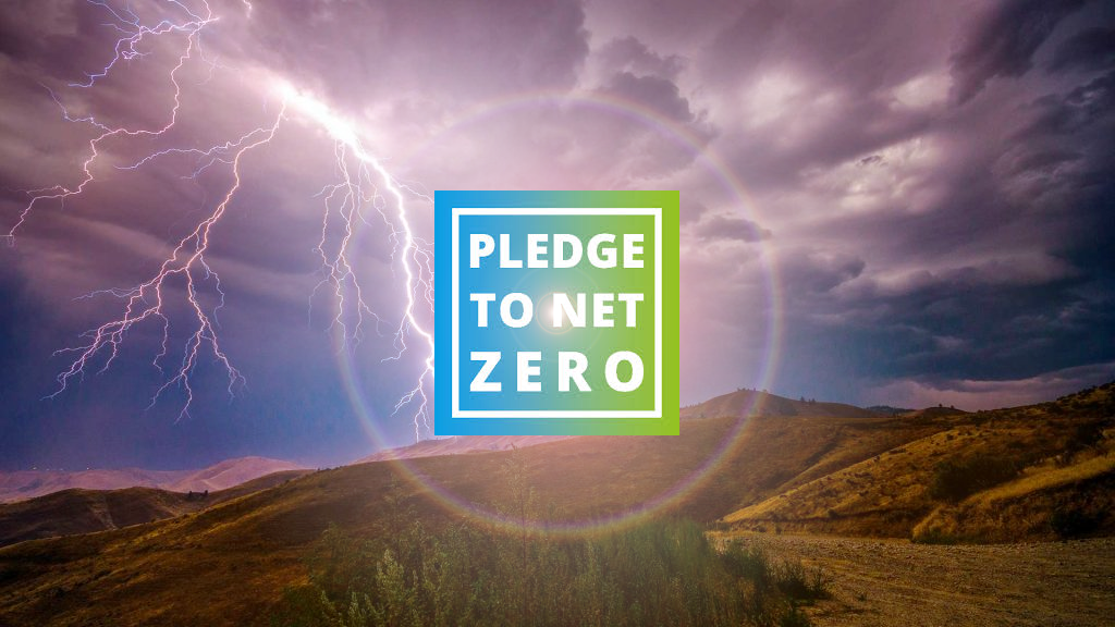 net zero emissions pledge