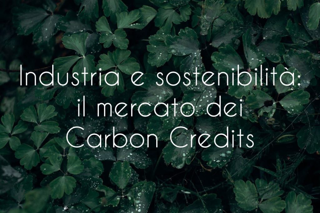 innovazione e carbon credits