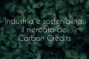 innovazione e carbon credits